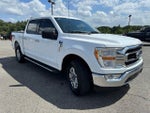 2023 F-150 Thumbnail 6