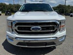 2023 F-150 Thumbnail 7