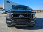 2023 F-150 Thumbnail 8