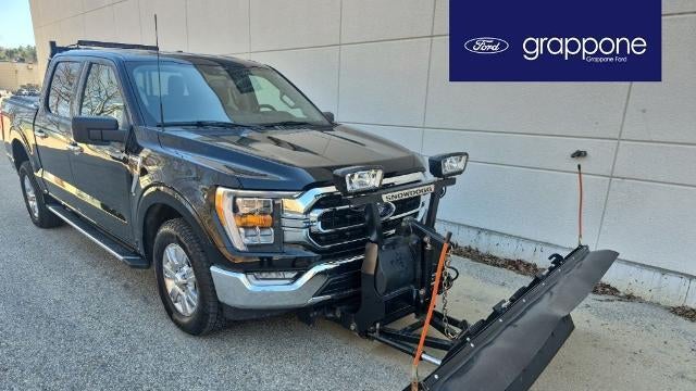 Preowned 2023 Ford F-150 King Ranch for Sale