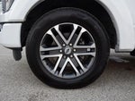 2023 F-150 Thumbnail 19