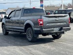 2019 F-150 Thumbnail 13