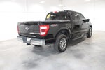 2021 F-150 Thumbnail 7