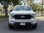 2021 F-150 Thumbnail 3