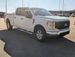 2021 F-150 Thumbnail 2