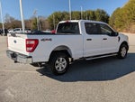 2021 F-150 Thumbnail 4