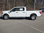 2021 F-150 Thumbnail 7