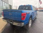 2021 F-150 Thumbnail 8