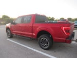 2021 F-150 Thumbnail 4