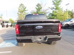 2021 F-150 Thumbnail 6