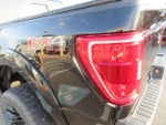 2021 F-150 Thumbnail 16
