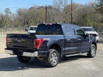 2021 F-150 Thumbnail 8