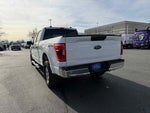 2022 F-150 Thumbnail 5