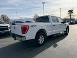 2022 F-150 Thumbnail 7