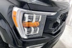 2022 F-150 Thumbnail 12