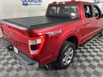2022 F-150 Thumbnail 6