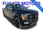 2022 F-150 Thumbnail 10