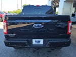 2022 F-150 Thumbnail 4