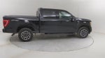 2022 F-150 Thumbnail 13