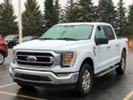 2022 F-150 Thumbnail 8