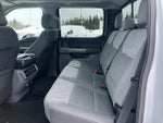 2022 F-150 Thumbnail 11