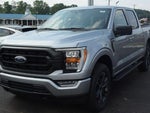 2023 F-150 Thumbnail 3
