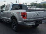 2023 F-150 Thumbnail 4