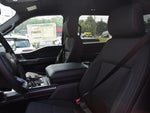 2023 F-150 Thumbnail 11