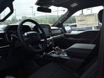 2023 F-150 Thumbnail 12