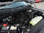 2023 F-150 Thumbnail 22
