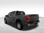 2023 F-150 Thumbnail 3