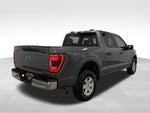2023 F-150 Thumbnail 6
