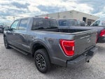 2023 F-150 Thumbnail 6