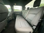 2023 F-150 Thumbnail 4