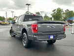 2023 F-150 Thumbnail 6