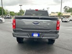 2023 F-150 Thumbnail 15