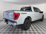 2023 F-150 Thumbnail 7
