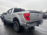 2023 F-150 Thumbnail 4