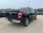 2023 F-150 Thumbnail 4