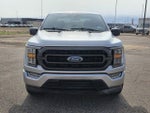 2023 F-150 Thumbnail 2