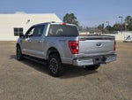 2023 F-150 Thumbnail 6