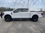 2023 F-150 Thumbnail 6