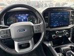 2023 F-150 Thumbnail 5