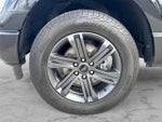 2023 F-150 Thumbnail 13