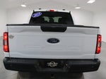 2023 F-150 Thumbnail 10