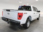 2023 F-150 Thumbnail 11