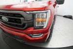 2023 F-150 Thumbnail 22