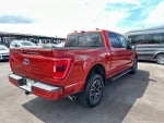 2023 F-150 Thumbnail 6