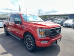 2023 F-150 Thumbnail 8