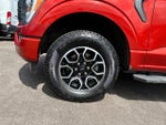 2023 F-150 Thumbnail 10